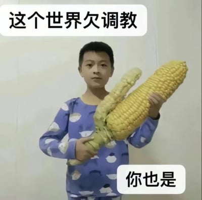 图片中一个穿着蓝色小鱼图案睡衣的男孩，双手捧着一个形状奇特的玉米。玉米主体正常，但根部却长出了类似小手的畸形结构。男孩表情严肃，配合上方文字“这个世界欠调教”和下方文字“你也是”，形成一种荒诞的幽默感。通过将严肃的语气与滑稽的场景结合，创造出喜剧效果。