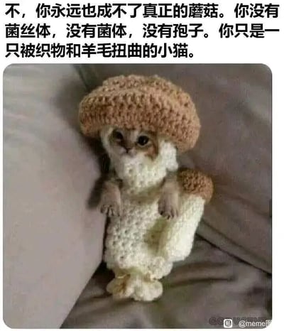 这是一张充满趣味的静态宠物梗图，画面主体是一只被手工针织的蘑菇造型服饰包裹的小猫，它只露出了小小的脑袋和两只前爪，眼神无辜茫然，模样十分可爱。图片上方配有一段以旁白口吻呈现的吐槽文字，用类似科普的严肃语气“戳穿”小猫的“蘑菇身份”，详细列出蘑菇具备的菌丝体、菌体、孢子等特征，点明小猫只是被织物和羊毛装扮的普通猫咪，这种一本正经的吐槽和可爱的小猫形象形成强烈反差，制造出滑稽搞笑的效果，让画面既温馨又充满趣味性，很容易引发宠物爱好者的喜爱和共鸣。