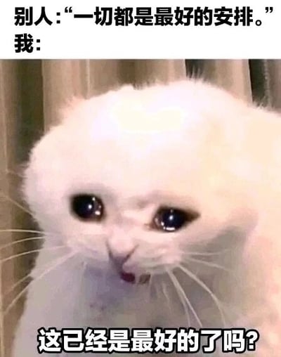 这是一张静态单图类的文字加注表情包，画面主体是一只泪眼汪汪、表情委屈的白色折耳猫，猫咪眼睛湿润，嘴巴微张，神态看起来十分难过委屈。图中上方配文是他人所说的“一切都是最好的安排。”，下方是代表“我”的配文“这已经是最好的了吗？”。通过猫咪委屈的神态和灵魂拷问的文字，精准地表达了当人们身处困境、遭遇不顺时，对“一切都是最好的安排”这类安慰话语的质疑与迷茫，传递出无奈、委屈的负面情绪，能够让处于情绪低谷的人产生强烈共鸣，适合在日常聊天中用来抒发自己的低落心情。对于图中的问题，其实生活里的境遇没有绝对的“最好”，当下的困境也许只是暂时的，之后可能会有新的转机，如果现在觉得很难，不妨试着接纳当下，也给自己一点时间去等待和改变。