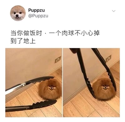 这是一张图文混排的搞笑宠物梗图，顶部是X（原推特）用户Puppzu的账号信息，下方配有中文文字“当你做饭时，一个肉球不小心掉到了地上”，再往下是左右拼接的两张实拍图：左侧图里，一个黑色厨房夹子打开着放在圆滚滚的博美犬身体两侧；右侧图里，夹子的开口收拢，正要“夹住”这只博美犬。这只博美犬因为蓬松圆润的外形，和肉球高度相似，配合配文营造出“把小狗误当成做饭时掉在地上的肉球”的趣味错位效果，小狗一脸严肃又有点懵的表情更增添了笑点。