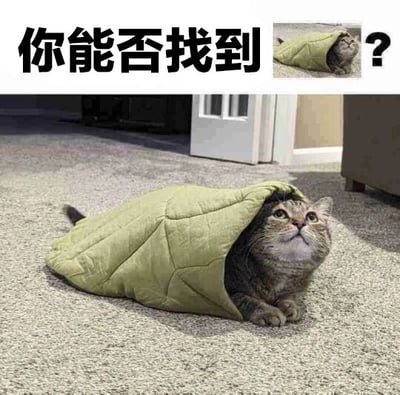 图片上方有黑色大字标题“你能否找到?”，右侧配有一个小图预览。主体画面展示一只虎斑猫蜷缩在绿色绗缝毯子里，只露出头部和前爪，正睁着圆溜溜的眼睛向上看，背景是铺着浅色地毯的室内环境，整体营造出“寻找隐藏猫咪”的趣味互动感。