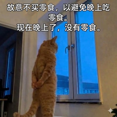 一只橘猫后腿站立，前爪背在身后，凝视着窗外夜色。图片配文讲述了一个关于自律与后悔的幽默故事：为了避免晚上吃零食而故意不买，结果到了晚上却因为没有零食而感到失落。猫咪的姿势和表情仿佛在表达这种懊悔和渴望。