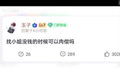 这是一张社区平台的用户评论截图，用户“玉子”拥有Lv.7的等级标识和“门萨弃徒”的头衔，在6小时前发布了一条极具争议性的提问：“找小姐没钱的时候可以肉偿吗”。该内容涉及违法的色情交易相关话题，属于低俗违规内容，目前这条评论获得了26次转发、289条评论以及3028个点赞，可见引发了大量用户的关注与讨论。