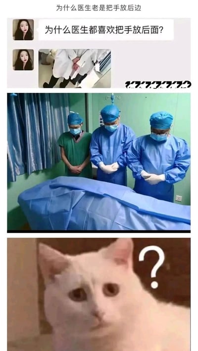 这是一张由三部分内容拼接而成的搞笑网络梗图：顶部是社交平台的聊天界面，有用户提出疑问“为什么医生都喜欢把手放后面？”，并配了一张医生手放背后的小图；中间是手术室场景，三位身着手术服的医护人员站在病床前，双手交叠放在身前，由于病床的遮挡，从视觉上看仿佛是把手放在了病床的后方，刚好呼应了前面的提问；最后是一只头顶带有问号的白色猫咪，以疑惑的表情强化了这种视觉错位带来的搞笑误解效果。实际上医护人员是在进行术前的准备动作，只是拍摄角度造成了视觉错觉，图中内容以此制造反差笑点。
