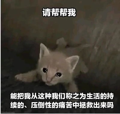 这是一张文字加注的照片改图，属于表情素材图。图中主体是一只浅米色的真实猫咪，它眼睛湿润，神情委屈可怜，前爪扒在某个平面上，身体探出，呈现出无助求助的姿态。图片上方配有白色文字“请帮帮我”，下方配有白色文字“能把我从这种我们称之为生活的持续的、压倒性的痛苦中拯救出来吗”，通过拟人化的手法，借猫咪的可怜形象来抒发当代人在生活中感受到的疲惫、压抑与想要摆脱困境的情绪，精准贴合年轻人的情绪宣泄需求，是很受欢迎的丧系表情包。