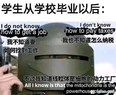 这是一张以游戏《逃离塔科夫》角色Killa的头盔形象为主体的吐槽类表情包，采用图文混排、文字加注的形式创作。图片顶部以“学生从学校毕业以后：”为引子，左右两侧分别标注了毕业生面对现实的困境——不知道如何找工作、不知道怎么纳税，而下方则写出他们唯一记得的校园知识“线粒体是细胞的动力工厂”，通过强烈的反差感，调侃了校园教育内容与社会实用需求脱节的现象，精准戳中毕业生步入社会时的焦虑与无奈，引发共鸣。