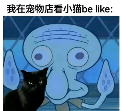 这是一张经过P图改编的搞笑表情包，图片顶部配有文字“我在宠物店看小猫be like:”。背景是美国动画《海绵宝宝》里的魔改章鱼哥形象，它睁着圆溜溜的大眼睛，眼神呆滞又痴迷，身体前倾，呈现出完全被吸引的神态；前景是一只真实的黑猫，它眼神平静地直视镜头，和背景章鱼哥的夸张神态形成有趣的反差。这张图用章鱼哥的夸张状态来代入喜欢猫的人在宠物店看小猫时的内心，生动又搞笑地表现出猫奴被小猫吸引、满眼都是小猫的痴迷模样，很容易引发宠物爱好者的共鸣。