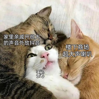 这是一张经过文字加注的静态表情包，画面中三只猫咪挤在一起：中间的白色猫咪被标注为“我”，它双眼圆睁、嘴巴微张露出牙齿，表情痛苦扭曲，呈现出被夹击的崩溃状态；左侧的狸花猫标注为“家里亲戚开很大的声音外放抖音”，它半眯着眼，放松地靠在白猫身上；右侧的橘猫标注为“楼下商场超大声喇叭”，它闭着眼睛，惬意地依偎着白猫。整张图通过猫咪的姿态和文字标注，生动地还原了生活中被两种不同来源的噪音同时困扰，无法逃脱、内心满是无奈与崩溃的场景。