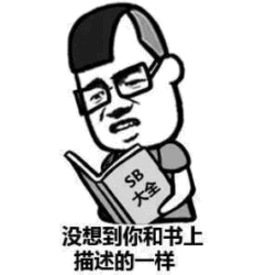 一张黑白卡通风格的图片，描绘了一位戴着眼镜、发际线较高的男子低头看着一本封面写有‘SB大会’的书。男子表情嫌弃且无奈，下方文字‘没想到你和书上描述的一样’形成讽刺效果，暗指对方符合书中‘SB’形象。