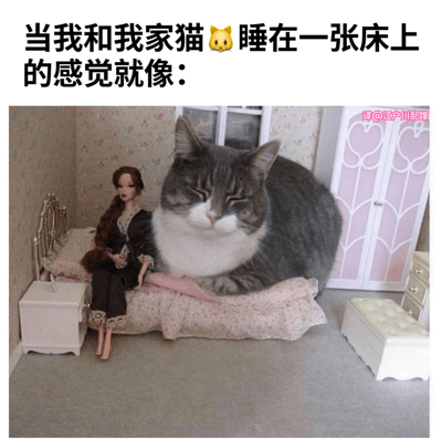 一张搞笑图片，通过夸张手法展示一只体型巨大的猫和一个洋娃娃同睡在一张小床上的场景，上方配有文字“当我和我家猫🐱睡在一张床上的感觉就像：”，幽默地表达了猫咪在床上占据大部分空间的体验。图片通过猫与床和娃娃不成比例的大小对比制造喜剧效果，让养猫人士产生共鸣。