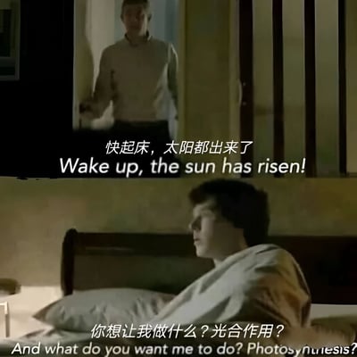 图片由上下两部分影视截图组成。上部分显示一名男子站在门口，对床上的人说："快起床，太阳都出来了"；下部分显示床上的人（疑似谢尔顿·库珀）侧脸躺在床上，回应道："你想让我做什么？光合作用？"。图片通过中英文双语字幕呈现对话内容，形成幽默效果。

该梗图的笑点在于将"太阳出来了该起床了"这一常见催促语，用"光合作用"的科学概念进行调侃，暗示既然太阳出来了，人或许可以像植物一样通过光合作用获取能量，而不必起床活动。