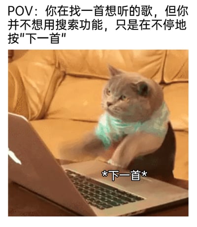 这是一张极具共鸣感的搞笑图文梗图，顶部的POV文字设定了日常场景：用户想要找到想听的歌，但不愿使用搜索功能，只是反复点击“下一首”。图中是一只穿着浅绿色衣服的猫咪，坐在黄色皮质沙发前，一脸不耐烦地快速敲击笔记本电脑的键盘，键盘位置标注了“*下一首*”的文字，生动还原了很多人听歌时，懒得搜索、只想靠切换歌曲碰运气找到心仪歌曲的状态，精准戳中日常听歌的有趣小习惯，让人会心一笑。