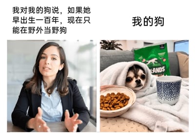 这是一张左右分栏的图文拼接搞笑图，左侧是一位身着黑色西装外套、浅蓝色衬衫的职场女性，她双手摊开，正认真地说话，上方配文是她对自己宠物狗说的话：“我对我的狗说，如果她早出生一百年，现在只能在野外当野狗”；右侧是一只吉娃娃小狗，它裹着白色的毛绒毯子，趴在柔软的垫子上，面前摆放着满满一碗狗粮和一个带蓝点图案的水杯，身后还有一袋狗粮，小狗眼神无辜，神态慵懒，上方标注“我的狗”。整幅图通过主人的“说教式调侃”和小狗安逸舒适的生活状态形成强烈反差，制造出幽默搞笑的氛围，调侃了宠物如今“衣来伸手饭来张口”的躺平生活。
