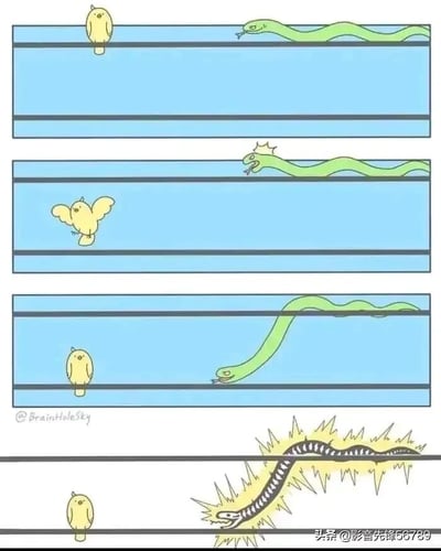 这是一则四格连环卡通漫画，讲述了一个无厘头的搞笑故事：第一格中，一只黄色小鸟淡定地站在电线上，一条绿色的蛇在旁边的电线上盯着小鸟，似乎想将其捕食；第二格，小鸟飞到了下方的电线上，蛇露出惊讶的表情；第三格，蛇为了抓到小鸟，将身体横跨在两根电线之间，朝着小鸟的方向探去；第四格，蛇因为同时接触两根不同的电线，瞬间触电，身体变得焦黑，还迸发出大量电火花，而小鸟依旧淡定地站在电线上看着这一幕。漫画利用生活中电线导电的常识，通过蛇自作自受的荒诞情节制造笑点。