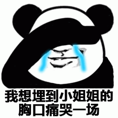 图片中是一个经典的黑白熊猫头卡通形象，双眼下方有蓝色的眼泪流下，表情显得悲伤又带点夸张。图片底部配有文字“我想埋到小姐姐的胸口痛哭一场”，整体呈现出一种幽默、夸张地表达想要寻求安慰的场景。这是一张典型的网络表情包，通过可爱的卡通形象和直白的文字结合，营造出轻松搞笑的氛围。