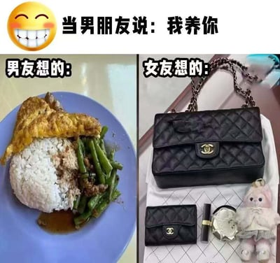 这张梗图用分栏对比的方式，幽默地展现了“当男朋友说：我养你”时情侣双方理解的不同。左边展示的是男朋友以为的“养你”——简单的家常饭菜；右边则是女朋友心中期望的“养你”——奢侈品牌包包、口红和小饰品。图片通过生活用品和奢侈品的强烈对比，调侃并放大了现实和幻想的落差。

- 图片有明显的双关和现实对比：既有“养你”字面上喂养，也有物质条件与情感需求的心照不宣的幽默感。