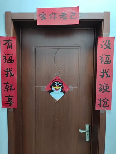 一张展示家门春节装饰的照片，门上贴有幽默风格的红色对联和横批，中央还有一个戴墨镜的卡通形象。横批写着'爱你老己'(谐音'爱你自己')，左侧对联'有福我就享'，右侧对联'没福我硬抢'，展现了轻松诙谐的节日氛围。