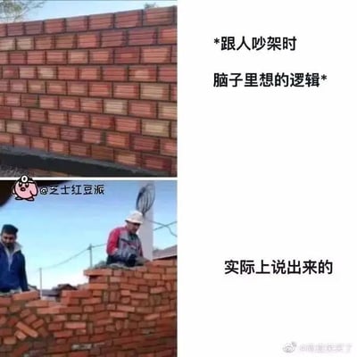 这是一张上下对比的图文类表情包，上半部分展示了排列整齐、结构规整的砖墙，搭配文字“*跟人吵架时脑子里想的逻辑*”，以此比喻人们在吵架前，内心已经构思出清晰、有条理的反驳思路；下半部分是一张视频截图，画面里两名工人正在砌墙，他们砌出的砖墙歪歪扭扭、毫无章法，搭配文字“实际上说出来的”，用来形容真正身处吵架场景时，自己的表达混乱、毫无逻辑的状态。这张图用两种砌墙状态的强烈反差，生动又贴切地戳中了很多人吵架时“心里想的很好，说出来却一团糟”的窘迫心态，引发共鸣。