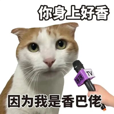 这是一张经过P图改编的搞笑表情包，采用剧场式的采访构图，画面主体是一只黄白相间的猫咪，它正面对一只印有“咪咪TV”标识的麦克风，仿佛在接受采访。图片上方配文“你身上好香”，下方配文“因为我是香巴佬”，巧妙运用了“乡巴佬”的谐音梗，同时结合“香巴佬”卤味品牌的名称，将“香”的特点和品牌名结合，制造出荒诞又幽默的效果，适合在社交聊天中用来调侃自己或他人，增添对话的趣味性。