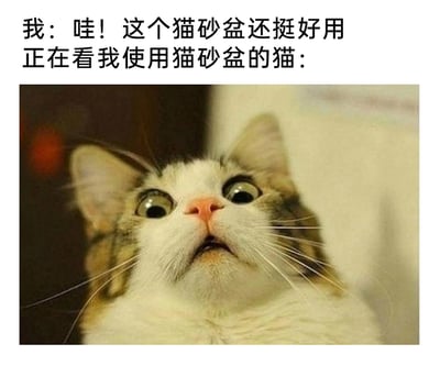 这是一张图文混排的搞笑梗图，上方设置了拟人化的场景文字：第一部分是“我：哇！这个猫砂盆还挺好用”，模拟人类尝试使用猫砂盆后的发言；第二部分是“正在看我使用猫砂盆的猫：”，引出下方的猫咪图片。下方的猫咪是一只花色家猫，它眼睛圆睁、嘴巴微张，面部肌肉紧绷，呈现出极度震惊、不敢置信的神情，抬头向上看的姿态仿佛正目睹了完全超出自身认知的场景。该梗图通过构建“人类使用猫砂盆”这种违背日常逻辑的荒诞场景，搭配猫咪的震惊表情，制造出强烈的反差感与喜剧效果，精准贴合养猫人群的趣味，用猫咪的反应放大了行为的离谱程度，引发观者的共鸣与发笑。