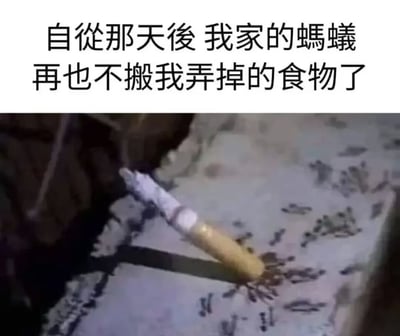 这是一张搞笑梗图，采用上方配文下方配图的结构，顶部白色背景上的文字内容为“自从那天后，我家的蚂蚁再也不搬我弄掉的食物了”，下方配图显示一只手将点燃的香烟放到地面聚集的大量蚂蚁旁边，玩了现实中给人递烟的社交梗的反差，调侃蚂蚁被“敬烟”之后就不敢再前来搬运掉落的食物，笑点荒诞有趣。