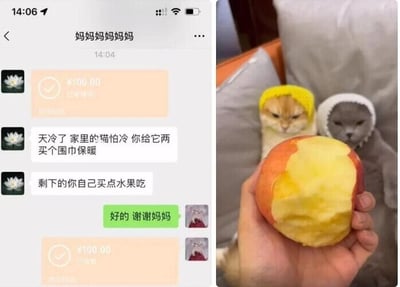 这是一张左右拼接的对比图，左侧为微信聊天记录截图，显示妈妈向孩子转账100元，叮嘱孩子天冷给家里的两只猫买围巾保暖，剩下的钱让孩子自己买水果吃，孩子回复表示感谢；右侧为实拍图，画面中的两只猫分别戴着用苹果皮制作的简易“围巾”，一只手拿着一个被啃掉大部分果肉的苹果，显然孩子没有按照妈妈的要求用这笔钱购买真正的猫围巾，而是用买苹果的钱，将苹果皮做成“围巾”给猫戴上，自己吃掉了苹果，以一种幽默、反差的方式“完成”了妈妈的指令，充满了生活趣味和搞笑感，展现了年轻人的脑洞和搞怪日常。