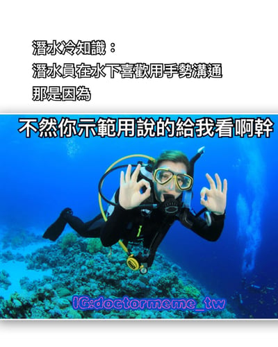 这是一张幽默风格的潜水知识梗图，上方文字以"潜水冷知识：潜水员在水下喜欢用手势沟通那是因为"作为铺垫，下方是一张潜水员在蓝色海水中做出OK手势的照片，照片上叠加文字"不然你示范用说的给我看啊干"作为搞笑 punchline，用反问方式幽默解释了潜水员使用手势沟通的必要性。