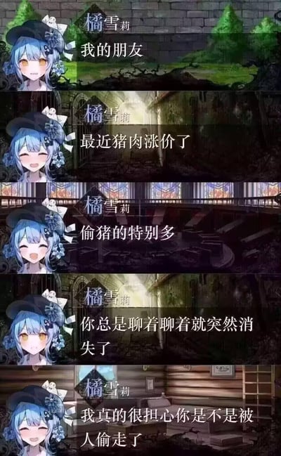 这是一组由虚拟角色橘雪莉的五张对话图组成的连环梗图，对话采用层层递进的方式玩谐音梗：先表明自己是对方的朋友，接着提到猪肉涨价、偷猪的人变多，最后调侃对方聊天时总突然消失，担心对方像猪一样被偷走，用生活化的日常话题制造出无厘头的搞笑调侃效果。