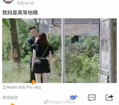 这是一张来自微博的社交媒体截图，属于图文混排的搞笑梗图。画面上方是发布者的文字“我妈是高等地精”，下方是一张国产都市情感剧的视频截图，截图里一男一女在户外的乡村场景中亲密互动，配文“我妈不是一般地精”。这里运用了谐音梗，“不是一般地精”谐音“不是一般地精明”，以此调侃自己的妈妈非常精明，通过这种文字游戏制造出搞笑的效果。截图还显示了发布设备为Redmi K20 Pro (4G)，该内容浏览量26次，同时带有微博的操作按钮和底部的水印账号。