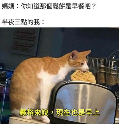 这是一张趣味梗图，上方文字呈现妈妈的疑问：“你知道那个松饼是早餐吧？”，下方是一只橘白相间的小猫站在厨房的金属厨具上，正低头专注地啃食一块华夫松饼，对应配文“半夜三点的我：严格来说，现在也是早上”。图中用猫咪偷吃的可爱场景，幽默地还原了人们在深夜嘴馋时，明明清楚食物是早餐品类，却强行找“半夜三点也算早上”的借口来满足口腹之欲的真实心态，生动有趣的画面精准戳中了很多人深夜偷吃的共鸣点，充满生活化的搞笑感。