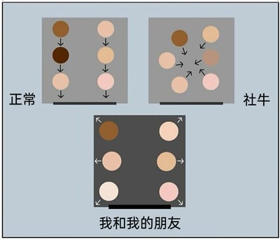 这是一张由三个模块组成的多图拼接静态对比图，用抽象的彩色圆点互动模式来类比不同的社交状态：左上的“正常”模块里，两组圆点各自按顺序向下单向传递，象征普通社交中有序、单向的互动关系；右上的“社牛”模块里，所有圆点互相指向彼此，生动表现出社牛人群能和所有人积极互动、社交关系活跃且紧密的特点；下方的“我和我的朋友”模块里，两组圆点分别向外侧散开，形象地调侃了自己和朋友都偏向社恐，在社交中自我封闭、不与外界产生互动的状态，整体用简洁的图形精准戳中当代年轻人的社交现状，充满趣味。
