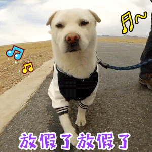 狗狗开心迎接假期的动态图