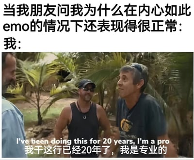 图片上方配有文字“当我朋友问我为什么在内心如此emo的情况下还表现得很正常：我：”，下方是三名男子在热带植物背景下的交谈场景，其中中间男子说出字幕“我干这行已经20年了，我是专业的”，幽默地表达了人们在社交中隐藏真实情绪、维持表面正常的状态，用“专业”一词自嘲长期伪装的无奈。
