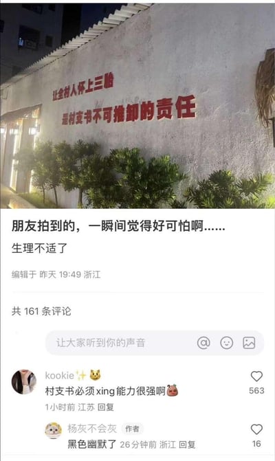 这是一张竖屏的社交平台截图，分为上下两部分：
1. 上半部分是夜晚拍摄的乡村墙面，墙面上用红色大字写着极具歧义的标语：「让全村人怀上三胎 是村支书不可推卸的责任」；
2. 下半部分是社交平台的发布内容与评论区：发布者配文「朋友拍到的，一瞬间觉得好可怕啊……生理不适了」，发布地点为浙江；高赞评论玩梗称「村支书必须xing能力很强啊😳」，发布者回复「黑色幽默了」。

标语的表述存在严重歧义，被网友恶意解读为村支书要以个人行为让全村人怀孕，形成了低俗的黑色幽默，既引发发布者的生理不适，也催生了玩梗评论。