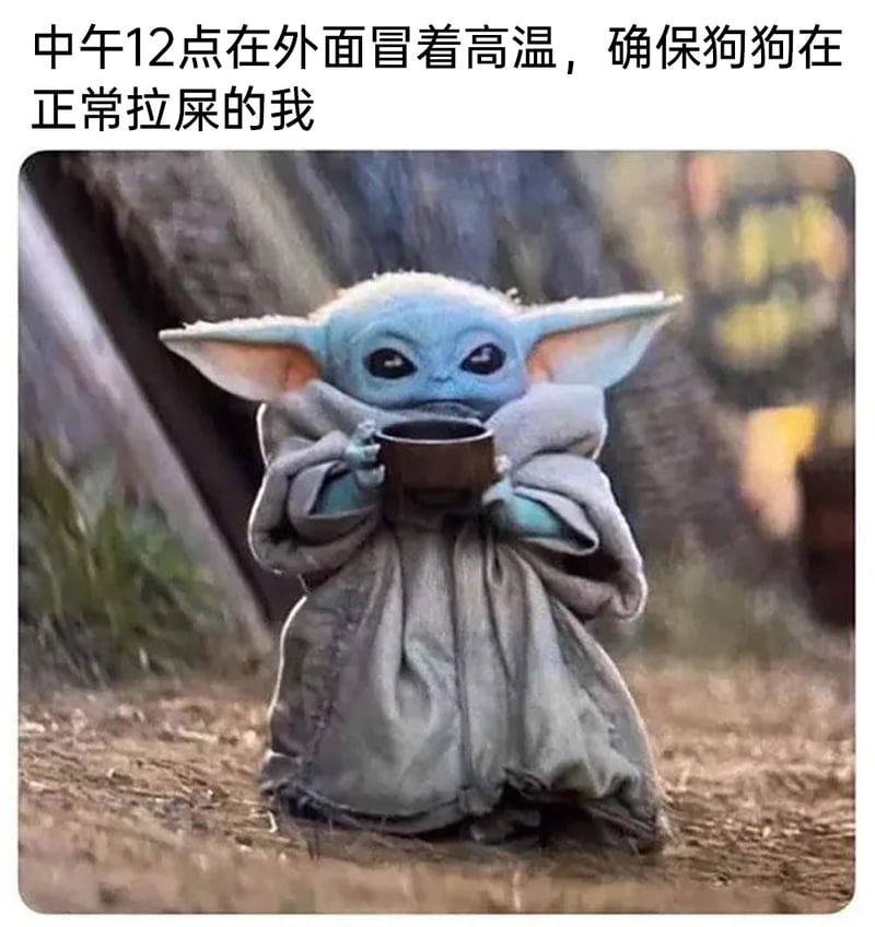 美剧《曼达洛人》（星球大战衍生剧集）