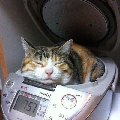 一只三花猫蜷缩在打开的电饭煲内熟睡，双眼紧闭，脑袋枕在电饭煲的控制面板上，表情十分安详。电饭煲的显示屏上显示数字'757'，机身有部分日文标识。整个画面温馨又有趣，展现了猫咪喜欢钻进狭小空间的习性。