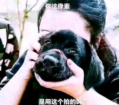 这是一张趣味搞笑的静态梗图，画面呈现了一位真实人物用双手紧紧捏住一只黑色狗狗的脸部，将狗狗的脸挤压得变形，狗狗的眼睛露出无奈又委屈的神情。图中添加了两行白色文字，上方文字为“你这像素”，下方文字为“是用这个拍的吗？”，利用被捏变形、看起来模糊的狗脸，和“低像素画质”形成视觉关联，用夸张幽默的方式吐槽低像素的画面，制造出双关的搞笑效果，适合在聊天时用来调侃画质差的内容。
