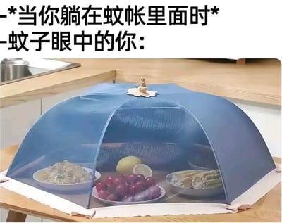 图片上方有黑色加粗文字：“当你躺在蚊帐里面时 蚊子眼中的你：”，下方是一张蓝色网状食物罩覆盖在餐桌食物上的照片。食物罩下摆放着米饭、葡萄、柠檬片和玉米等多种食物，通过巧妙类比，幽默地展现了蚊子视角中蚊帐里的人就像被保护起来的美味佳肴——既让蚊子渴望不已，又难以轻易接近。