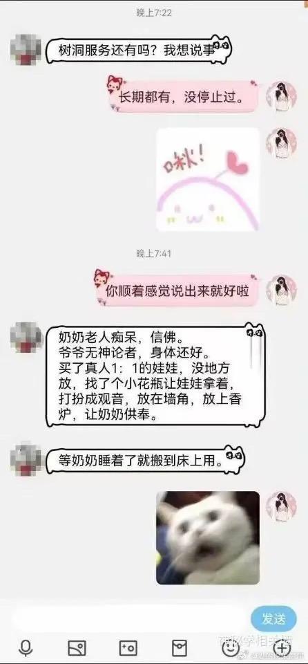 震惊白猫