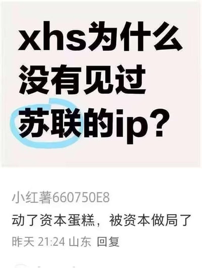 这是一张社交媒体截图，内容显示用户提出疑问“xhs为什么没有见过苏联的ip?”，下方有其他用户评论“动了资本蛋糕，被资本做局了”，反映了对平台内容管控的质疑。