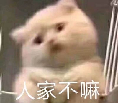 图片中是一只浅色猫咪，表情略带模糊，呈现出可爱的撒娇神态，正抬头向上看。图片底部有白色文字'人家不嘛'，文字内容与猫咪的表情动作相呼应，整体营造出一种俏皮、萌态十足的氛围，常用于表达撒娇或娇嗔的拒绝情绪。
