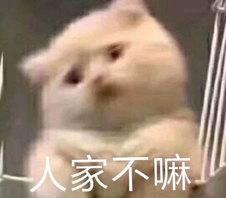 猫咪撒娇说'人家不嘛'表情包