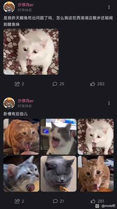 社交媒体用户“沙琪玛er”的两条帖子截图。7月6日的帖子配文“是我昨天醋鱼吃出问题了吗，怎么我这在西湖湖边散步还能闻到醋鱼味”，并附有一张白猫张嘴惊讶的图片；7月5日的帖子配文“卧槽有后劲儿”，包含六张不同猫咪张嘴或吐舌的表情包图片，排列成2x3的九宫格样式。图片底部有“@mode吧”水印。