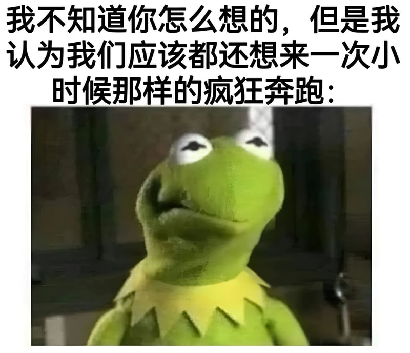 布偶秀