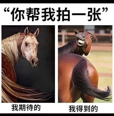 这是一张左右对比的搞笑梗图，上方文字为"你帮我拍一张"。左侧图片展示了一匹姿态优雅、鬃毛飘逸的马，下方标注"我期待的"；右侧图片则是一匹转过头来、表情滑稽的马，下方标注"我得到的"。图片通过强烈的对比，幽默地表现了请人拍照时理想与现实的差距。