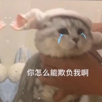 一只戴着白色兔子耳朵帽子的灰白相间猫咪，眼睛下方被编辑上了蓝色的眼泪特效，表情看起来十分委屈。猫咪被一只手捧着，背景中可以看到一些毛绒玩具。图片下方配有文字“你怎么能欺负我啊”，整体营造出一种被欺负后委屈巴巴的可爱氛围。