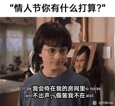 这是一张改编自《哈利·波特》电影截图的搞笑meme，顶部配文提问“情人节你有什么打算？”，图中哈利·波特带着无奈的神情，下方字幕被修改为“我会待在我的房间里，不出声，假装我不在”，结合原电影里哈利在德思礼家渴望独处不被打扰的处境，精准地表达了单身人士在情人节想要回避外界氛围、选择宅家独处的心情，用幽默的方式调侃了单身状态下对情人节的应对态度。