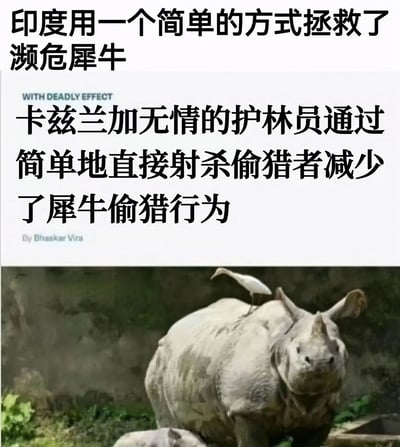图片上半部分为文字内容，标题为“印度用一个简单的方式拯救了濒危犀牛”，下方正文写着“卡兹兰加无情的护林员通过简单地直接射杀偷猎者减少了犀牛偷猎行为”，并标注有“WITH DEADLY EFFECT”和“By Bhaskar Vira”字样。下半部分是一张犀牛的照片，犀牛背上站着一只白色鸟类，背景为自然环境。