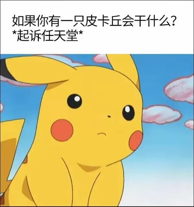 这是一张图文混排的搞笑梗图，上方用黑色字体提出问题「如果你有一只皮卡丘会干什么？」，并给出离谱的回答「*起诉任天堂*」；下方是动画《精灵宝可梦》中的皮卡丘截图，皮卡丘睁着圆溜溜的大眼睛，神情略带困惑和低落，和上方荒诞的回答形成反差，制造无厘头的搞笑效果。这个梗的核心是一个脑洞：假设现实中真的存在皮卡丘，那么任天堂旗下的《精灵宝可梦》IP就相当于未经授权使用了真实存在的皮卡丘的形象，因此可以起诉任天堂，是一种将虚拟IP和现实法律行为结合的荒诞脑洞，没有双关或谐音梗。对于图中的问题，除了这个离谱的回答，也可以选择和它一起玩耍、训练它，或者像动画里的小智一样，带着它开启冒险之旅。