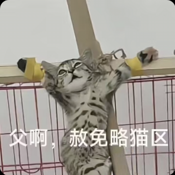 一只虎斑猫用前爪紧紧抓住金属横杆，身体悬空，仰头向上看，眼神带着哀求与无助。图片底部有白色文字：“父啊，赦免略猫区”。文字模仿宗教或戏剧中的经典哀求句式，将严肃的“赦免罪过”场景与“略猫区”（猫咪互动区域）结合，通过拟人化手法形成幽默反差，展现猫咪“求情”的可爱场景。
